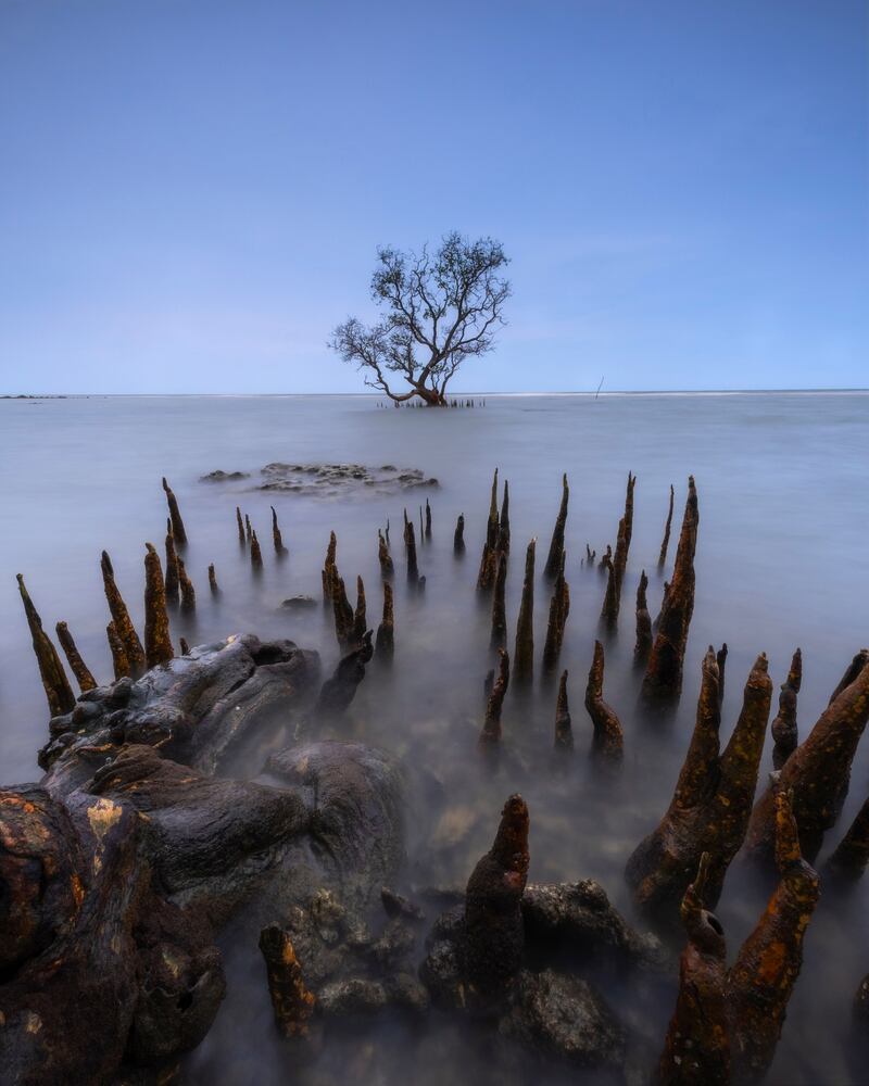 Honourable Mention - Landscape, Waluya Priya Atmaja, Indonesia. East Java at sunset, with mangroves.