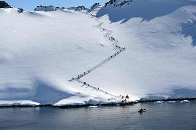 There are more tourists in ice-covered Antarctica, but there are tight restrictions in place. Photo: AFP