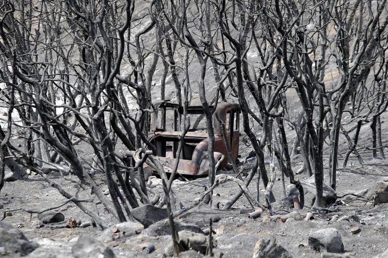 A vintage vehicle is seen through the devastation brought by the Cranston Fire near  Mountain Center, California. Mike Nelson/EPA