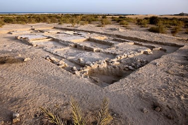The ruins of the Christian monastery on Sir Bani Yas Island in Abu Dhabi. AFP
