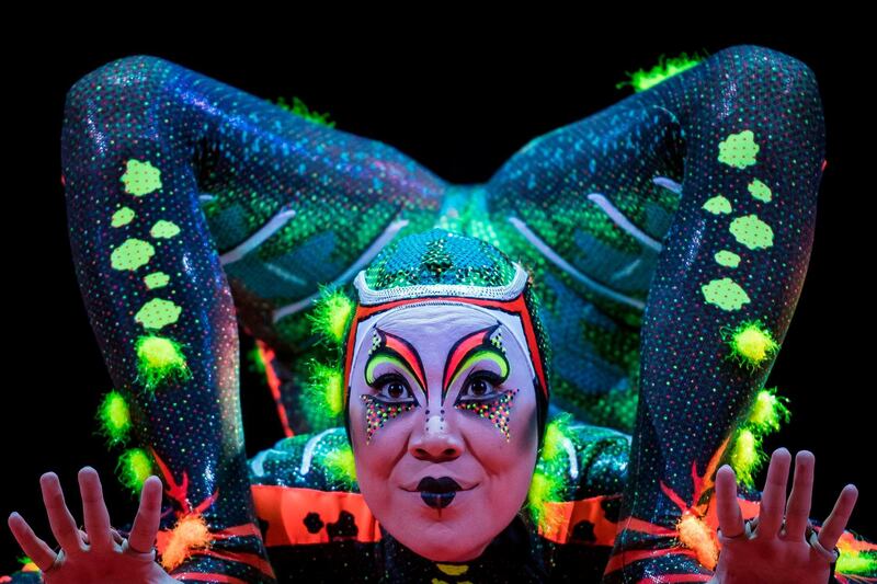 A member of the Canadian circus troop 'Le Cirque du Soleil' performs during the show "Totem" in Paris.  The show will run in the French capital until December 2. AFP