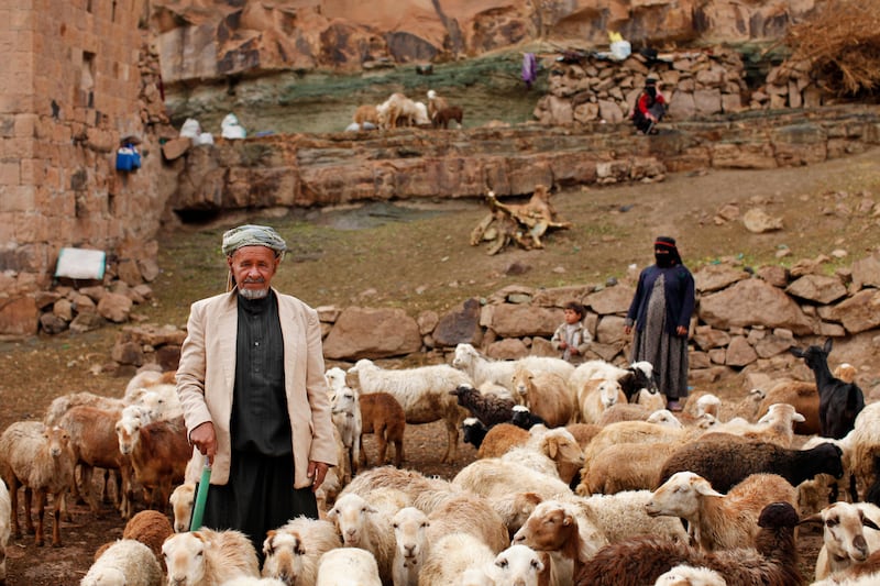 BAIT BAWS, SANA'A, YEMEN - February 7, 2010: (left) Ali Saleh Al-Kawlani, and (right) Bushra Ali Al-Kawlani tend to their goats outside of their house in Bait Baws where a few poor families have recently moved. ( Ryan Carter / The National )

 *** Local Caption ***  al22fe-YemenOasis13.jpg