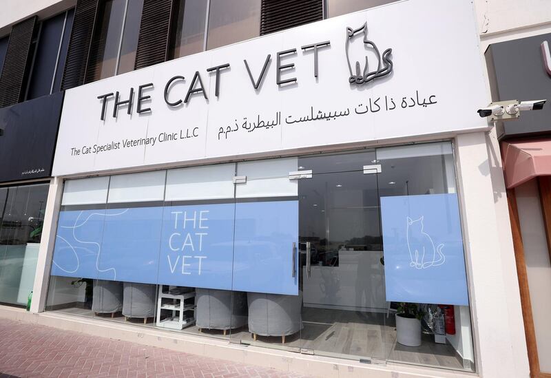 Dubai, United Arab Emirates - October 02, 2019: Profile of The Cat Vet UAE. Wednesday the 2nd of October 2019. Hessa Street, Dubai. Chris Whiteoak / The National