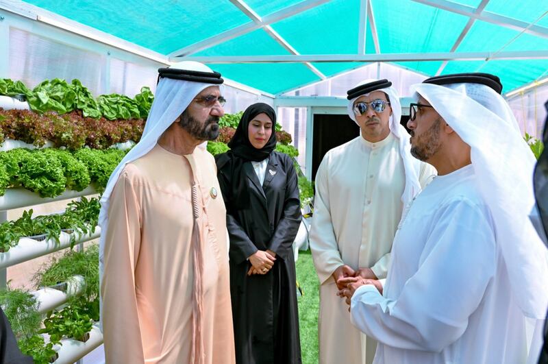 Sheikh Mohammed bin Rashid, Vice President and Ruler of Dubai, being briefed on the greenhouses for disabled people and senior citizens in the UAE. Photo: @HHShkMohed via Twitter