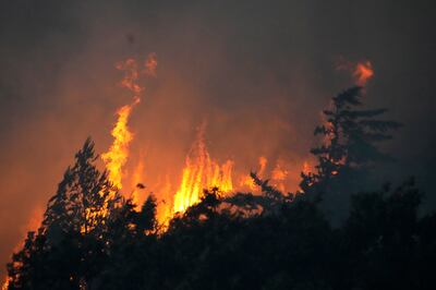 A forest on fire in Alcabideche, outside Lisbon. AP