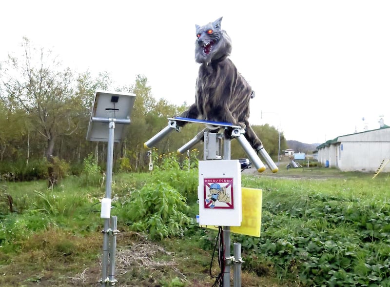 A robot called Monster Wolf, equipped with sensors that can detect bears or vermin, is installed in an effort to scare away bears that have become an increasingly dangerous nuisance in the countryside, in Takikawa on Japan's northernmost main island of Hokkaido, in this photo taken by Kyodo October 21, 2020. Picture taken October 21, 2020.  Mandatory credit Kyodo/via REUTERS ATTENTION EDITORS - THIS IMAGE WAS PROVIDED BY A THIRD PARTY. MANDATORY CREDIT. JAPAN OUT. NO COMMERCIAL OR EDITORIAL SALES IN JAPAN.