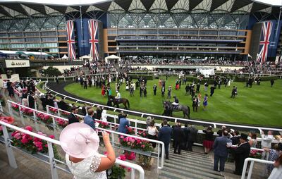 Racegoers attend the fourth day of the Royal Ascot horse racing meet, in Ascot, west of London, on June 23, 2017.

The five-day meeting is one of the highlights of the horse racing calendar. Horse racing has been held at the famous Berkshire course since 1711 and tradition is a hallmark of the meeting. Top hats and tails remain compulsory in parts of the course while a daily procession of horse-drawn carriages brings the Queen to the course.  / AFP PHOTO / Daniel LEAL-OLIVAS