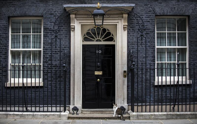 Larry, the Downing Street cat, a brown and white tabby re-homed from Battersea Dogs and Cats Home, sits outside number 10 Downing Street in London, U.K., on Wednesday, May 29, 2019. U.K. Prime Minister Theresa May's decision to step down on June 7 has fired the starting gun for a Conservative Party leadership race that could redefine Britain’s exit from the European Union. Photographer: Chris Ratcliffe/Bloomberg