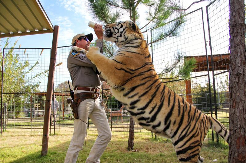 Joe Exotic in Tiger King: Murder, Mayhem and Madness. Courtesy Netflx