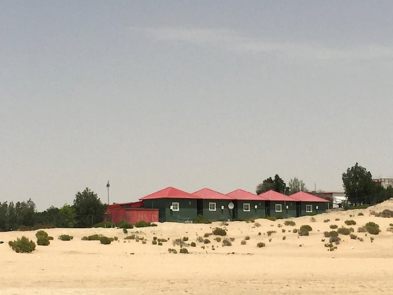Al Wathba horse ranch in Abu Dhabi
