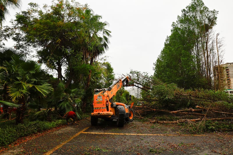 Fallen trees are removed from the road. Reuters