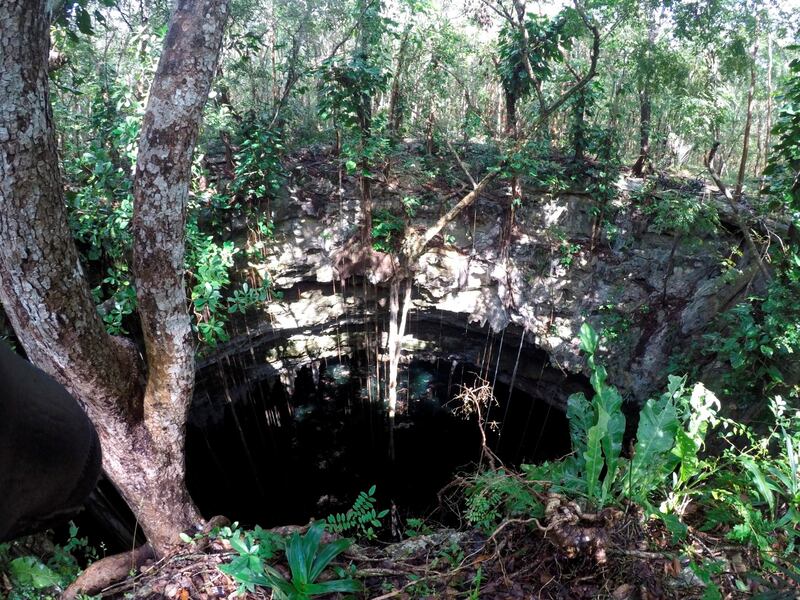 A view of a freshwater pool known as a cenote, where a wooden canoe used by the ancient Maya and believed to be more than a thousand years old was found, in the Mexican state of Yucatan.