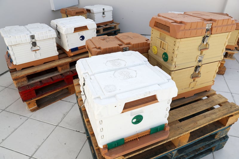 The bees are contained within custom-made hives.