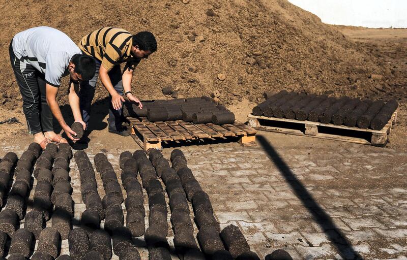 Gazan Entrepreneur Project Turns Olive Waste into a Valuable Resource. The team uses its machine to produce green cakes. Photo by Muhammad Shehada