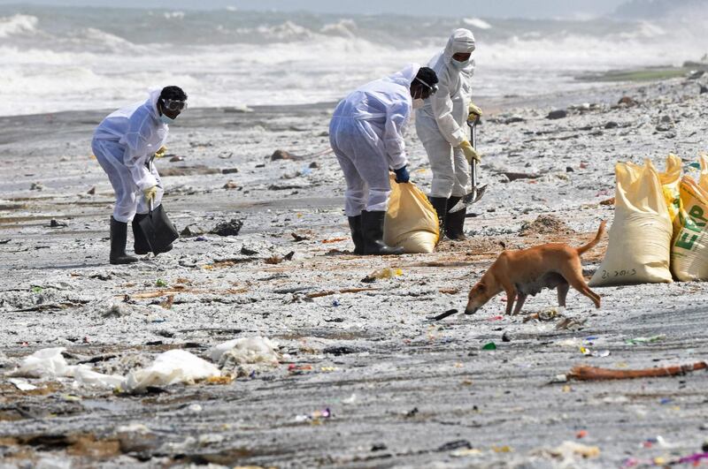 Members of Sri Lankan Navy conduct clean-up operation. AFP