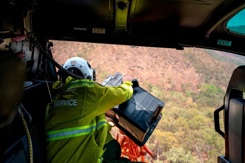 NSW National Parks and Wildlife services dropping carrots and sweet potato over the bushfire affected areas along the South Coast for wallabies.  AFP