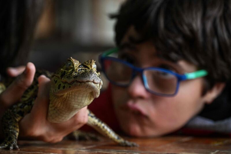Gabriel de Oliveira attends a therapy session with reptiles at the Walking Equotherapy Clinic 