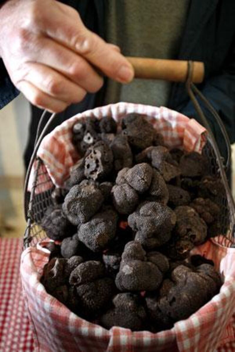 Black truffles grow underground in the roots of certain trees in France and Italy.