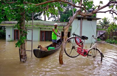 A bicycle is hung from a tree branch to avoid being washed away in flood waters as a man rows with his boat in a country boat at Kuttanad in Alappuzha in the southern state of Kerala, India, Monday, Aug. 20, 2018. Kerala has been battered by torrential downpours since Aug. 8, with floods and landslides killing at least 250 people. About 800,000 people now living in some 4,000 relief camps. (AP Photo/Tibin Augustine)
