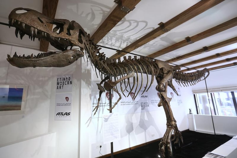 The skeleton of a juvenile tyrannosaurus rex, named Tinker, has gone on show at the Etihad Modern Art Gallery in Abu Dhabi. The bones of the young dinosaur were dug up in South Dakota, the US, 10 years ago. His hosts hope a buyer can be found to keep Tinker in the UAE. Delores Johnson / The National
