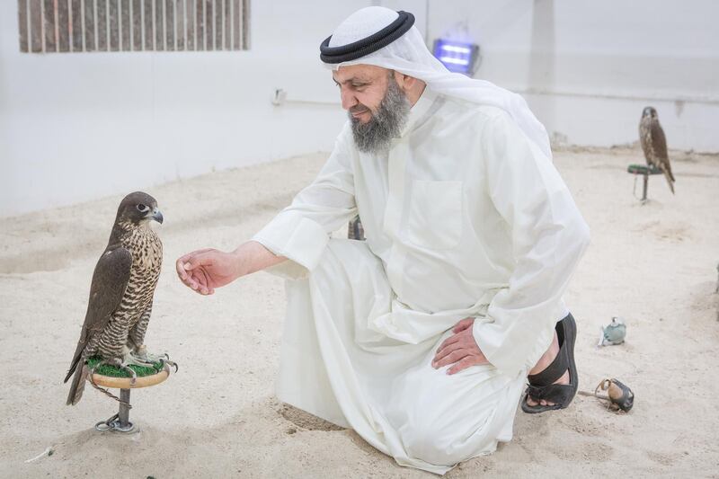 Portrait of Kuwaiti falconer Bader Muhareb Al Deeri, in Kabd, Kuwait.