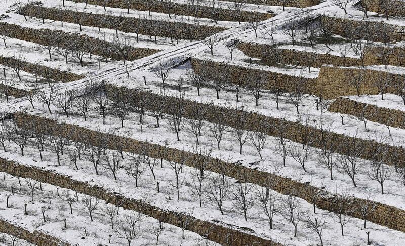 Fields covered with snow in the region of Dahr al-Baidar, east of Beirut. Joseph Eid / AFP