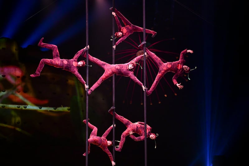 The first act is a group of Chinese pole dancers dressed as red ants 