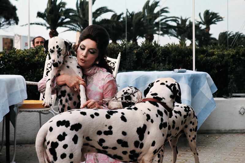 The Italian actress with her four Dalmatian dogs at Hotel Carlton in Cannes in 1972. AFP