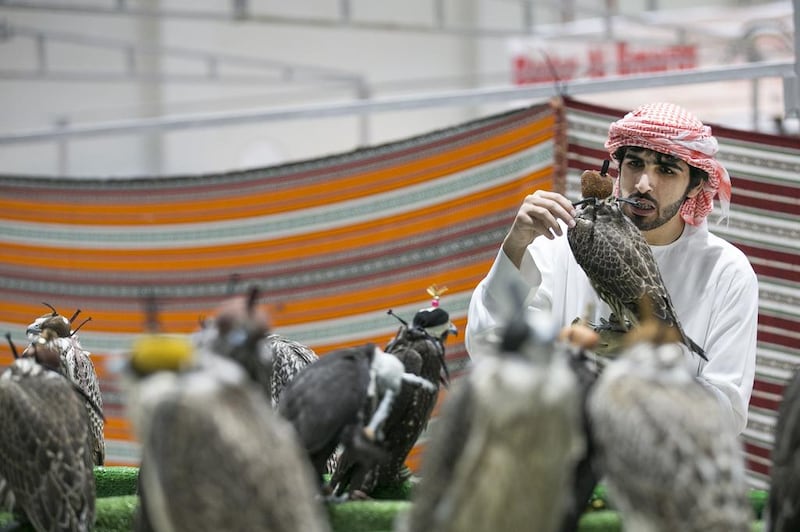 Adihex celebrated traditional Emirati sports such as falconry. Mona Al-Marzooqi / The National