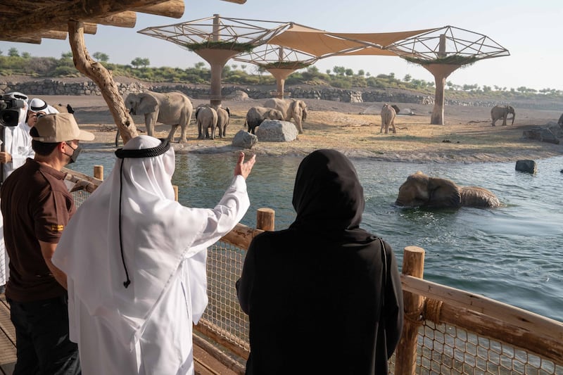 Sheikh Dr Sultan with officials as a few elephants break away from the herd to cool off in a deep pool.