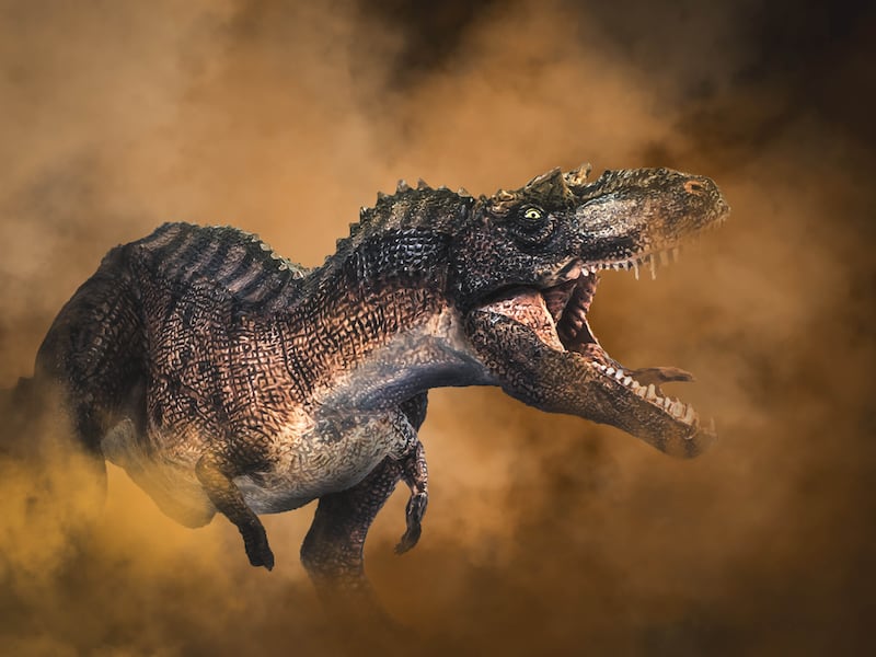 An artist's impression of what the Gorgosaurus might have looked like. Getty