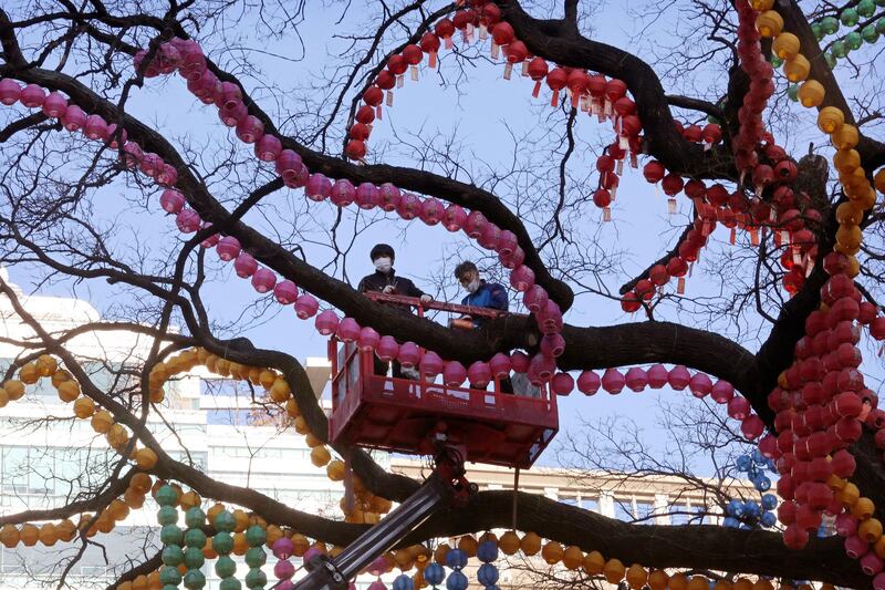 Workers prepare to arrange lanterns on a tree to celebrate the upcoming New Year at the Jogyesa Buddhist temple in Seoul, South Korea. AP Photo