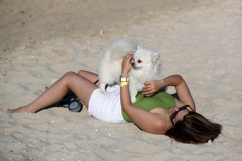 Dubai, United Arab Emirates - Reporter: Hayley Skirka. Features. DubaiÕs dog-friendly Flopser Beach near Al Jazira Bungalows in Ghantoot officially launches. Friday, October 16th, 2020. Dubai. Chris Whiteoak / The National