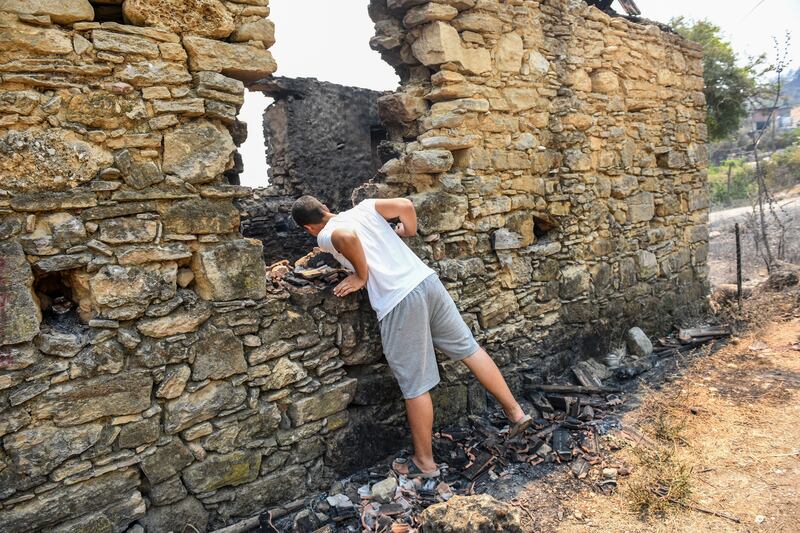 A man examines the destruction caused by bushfires near Manavgat.