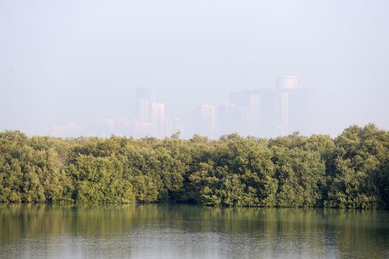 Abu Dhabi's skyline is just visible in the distance. Khushnum Bhandari / The National