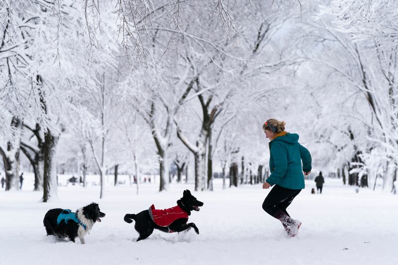 A local plays with her dogs on the National Mall in the snow. AP