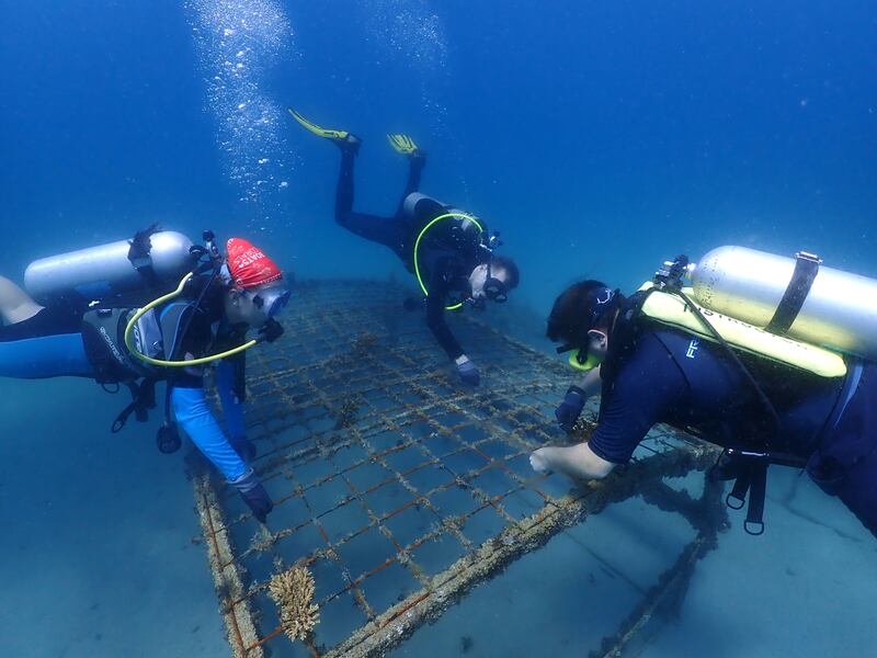 Project REEFrame, officially launched in 2021, has already created a one-hectare artificial reef off the UAE’s east coast