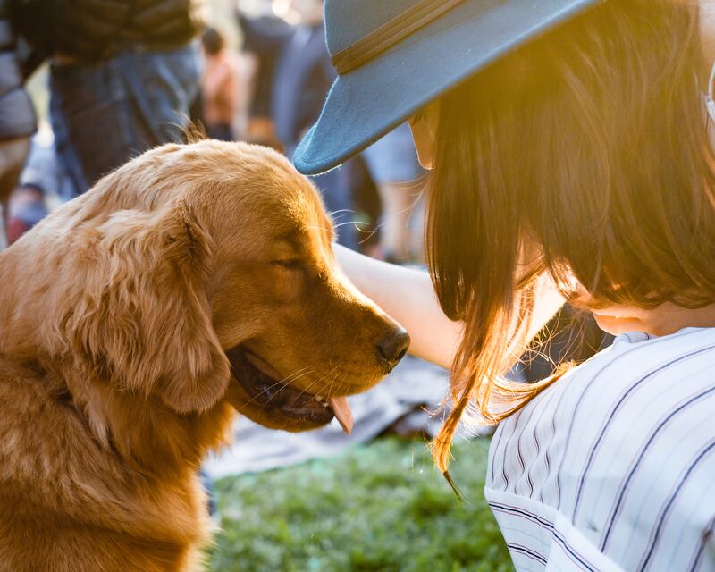 Ahead of International Dog Day on August 26, Spotify dug into the ways dog owners around the world use music and audio to entertain and relax their pets. Photo: Spotify