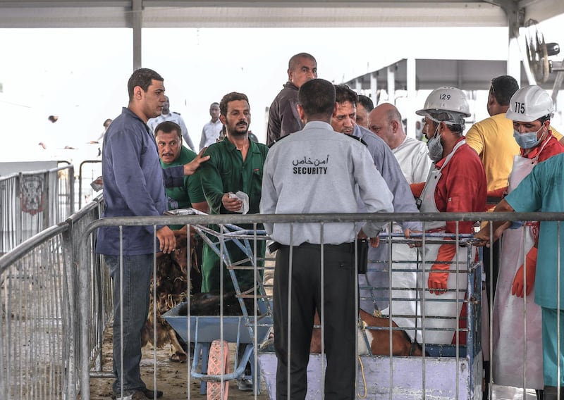 Abu Dhabi, U.A.E., August 22 , 2018.  Livestock shoppers for the second day of Eid Al Adha at the Abu Dhabi Livestock Market and the Abu Dhabi Public Slaughter House (Abu Dhabi Municipality) at the  Mina area.-- Delivery area.  This is where the livestock market worker gives the livestock to the slaughter house worker and gives instructions for the desired cut of the customer.
Victor Besa/The National
Section:  NA
For:  stand alone and stock images