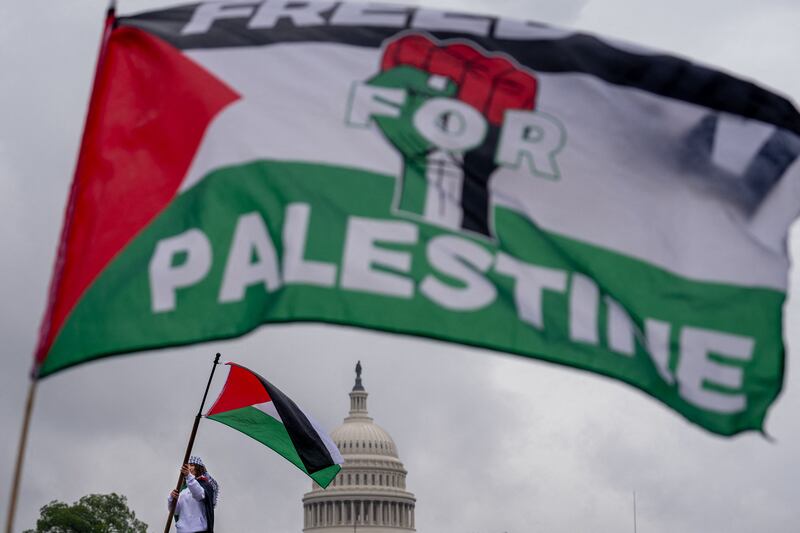 Pro-Palestine demonstrators near the Capitol building in Washington, DC. Getty Images