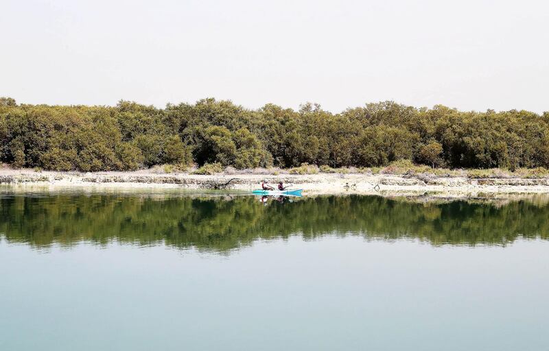 ABU DHABI , UNITED ARAB EMIRATES , February 27 – 2019 :- People doing kayaking at the eastern mangrove area on E 10 highway in Abu Dhabi. ( Pawan Singh / The National ) For Big Picture 