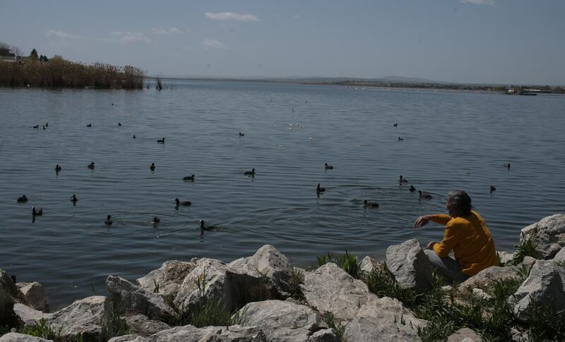 A man throws pieces of bread to feed birds living in Mogan lake in Golbasi outside Ankara. AP Photo