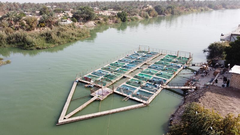 The fish-farming pond on the Euphrates 
