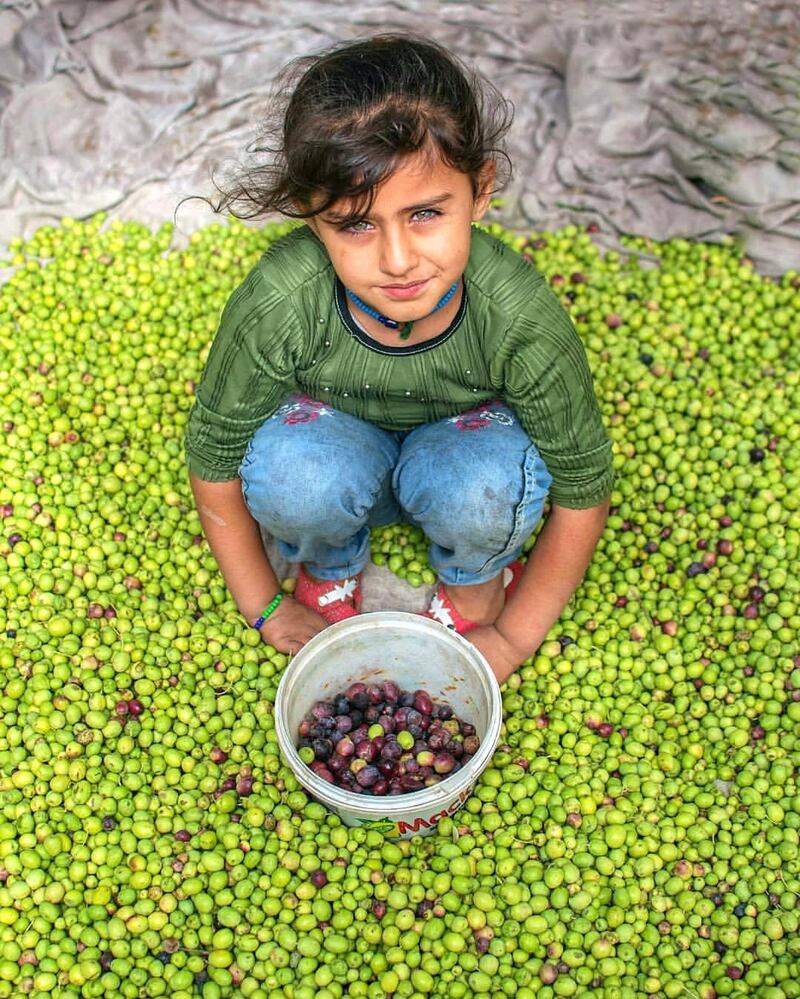 Rodi, Syria: In the Syrian town of ‘Afreen, Rodi captured an image of a young Syrian girl amidst a scenic array of green olives during the olive harvesting season, before it is ultimately sold in the local market.