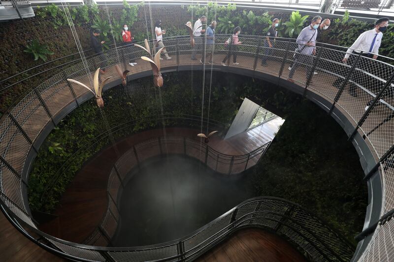 A sloping walkway will take visitors past hanging gardens, thick vines and edible garden plants.