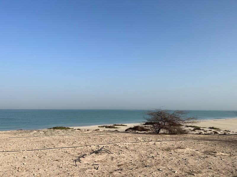 Al Sinniyah Island sits between the UAQ peninsula and the Gulf coast and it protects the mangrove-fringed Khor Al Beida lagoon. Photo: Timothy Power