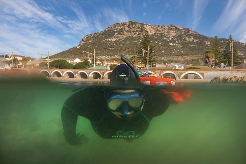 A South African volunteer freediver picks up plastic waste and other forms of litter from Kalk Bay Harbour, Cape Town, South Africa. EPA