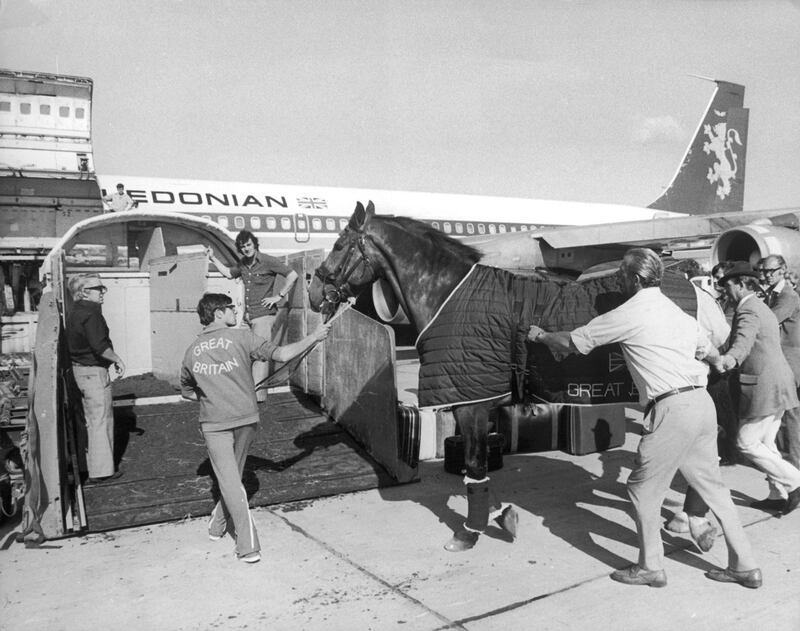 Hideaway, Graham Fletcher's mount for the Prix des Nations jumping competition at the Montreal Olympics, is coaxed on to a plane at Gatwick in 1976