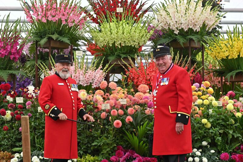 Chelsea pensioners pose by an arrangement of flowers during the 2021 RHS Chelsea Flower Show in London on September 19, 2021.  - The Chelsea flower show is held annually in the grounds of the Royal Hospital Chelsea.  (Photo by JUSTIN TALLIS  /  AFP)