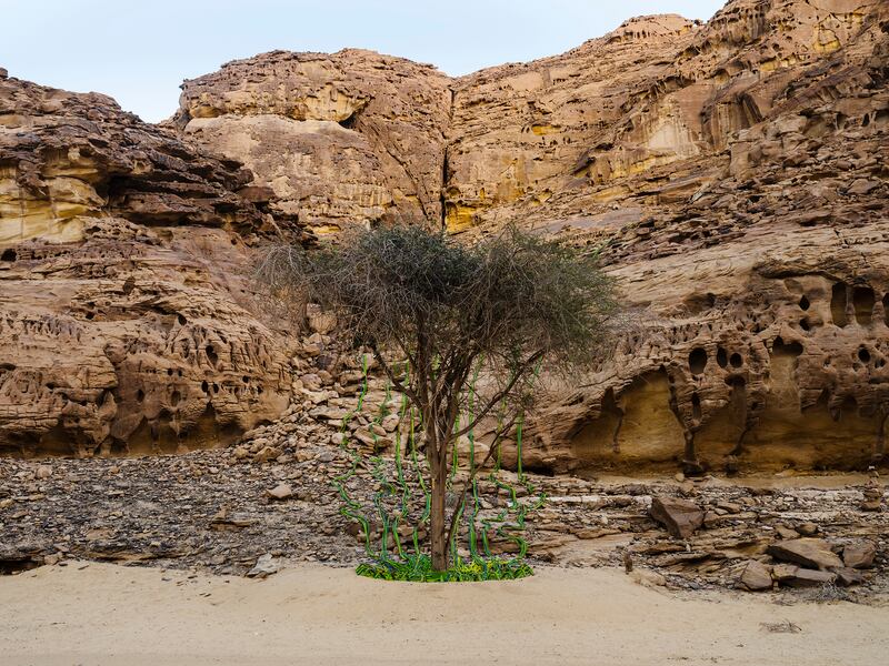 Ayman Zedani's 'The Valley of the Desert Keepers' is a soundscape installation in a rocky cavern.